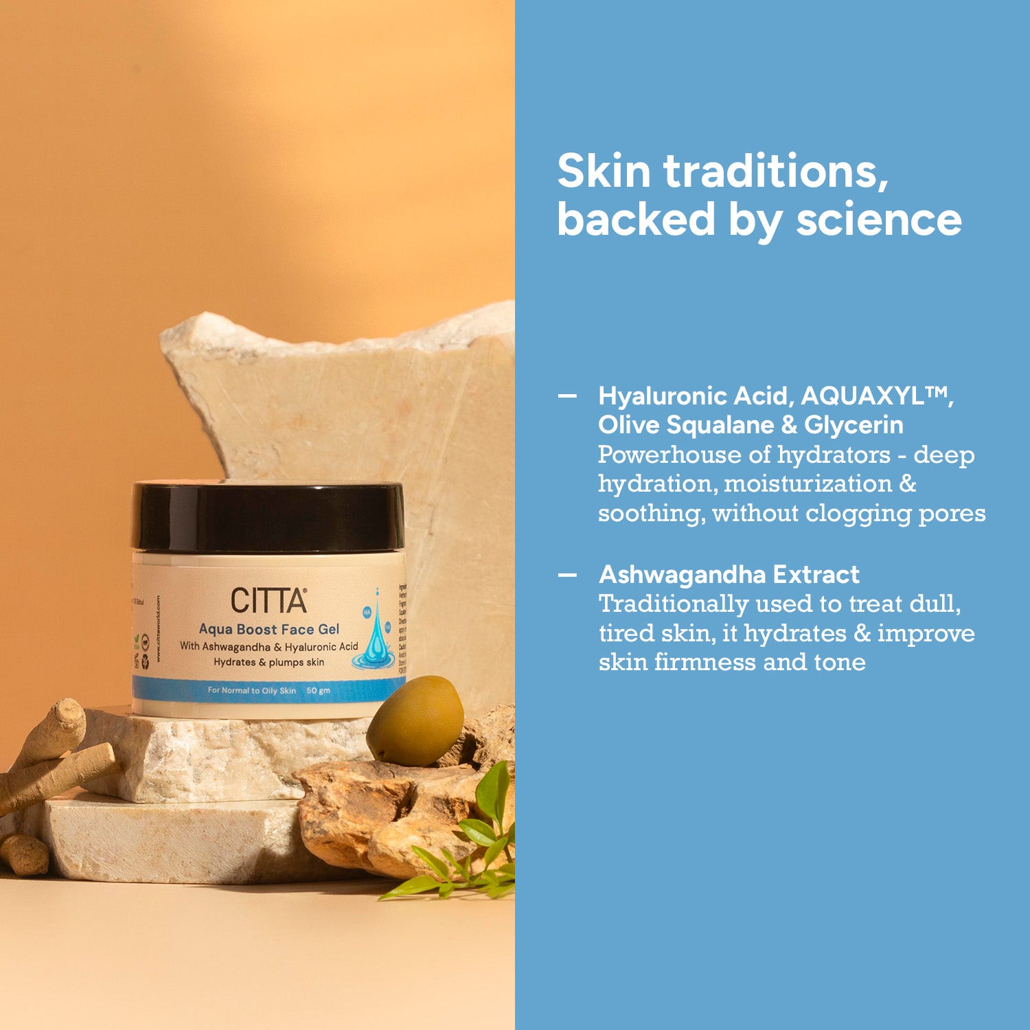 Gel face moisturizer with hyaluronic acid, aquaxyl, olive squalane, glycerin and ashwagandha extract