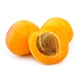 Himalayan Apricot