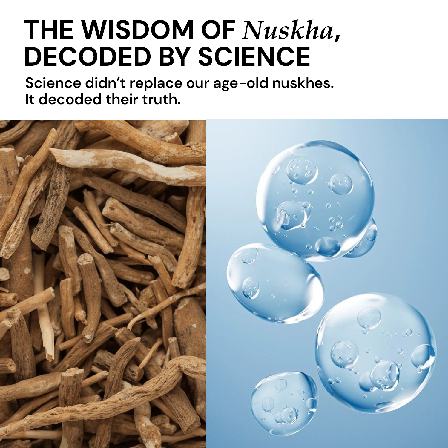 Gel face moisturizer with olive squalane, ashwagandha, hyaluronic acid and aquaxyl for skin hydration