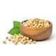Soybean