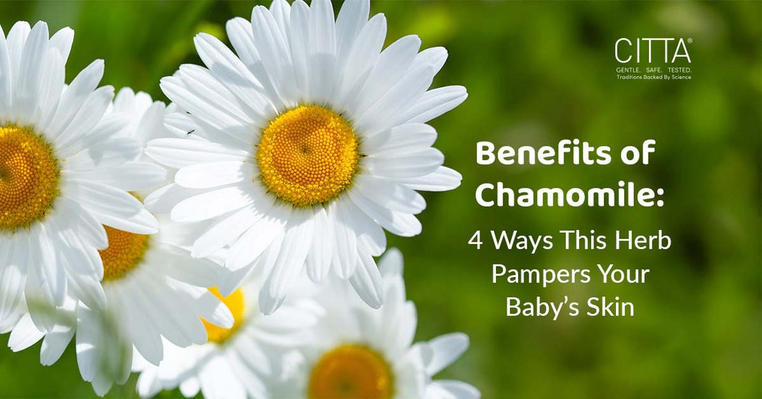 Benefits of Chamomile: 4 Ways This Herb Pampers Your Baby’s Skin