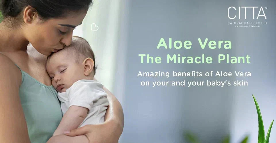 The Amazing Benefits of Aloe Vera in Baby Skincare