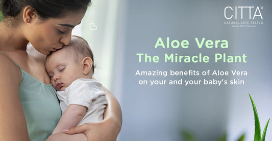 The Amazing Benefits of Aloe Vera in Skincare