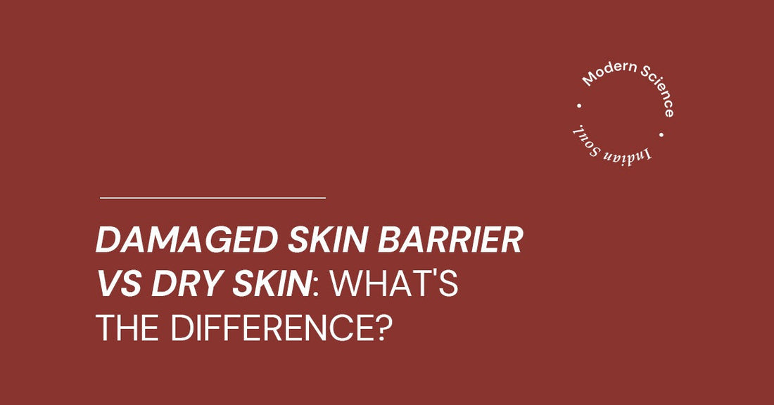 Damaged Skin Barrier vs Dry Skin What's the Difference