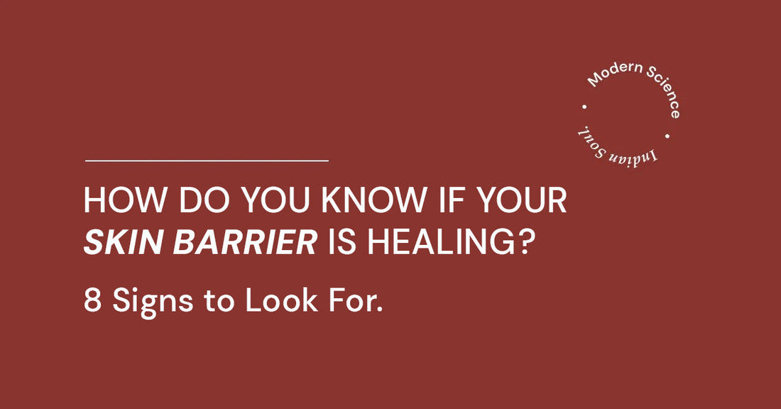 How Do You Know If Your Skin Barrier Is Healing? 8 Signs to Look For