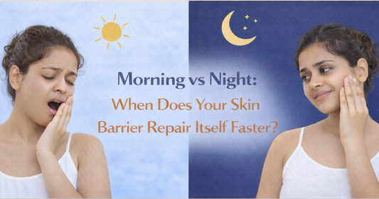 Morning vs Night: When Does Your Skin Barrier Repair Itself Faster?