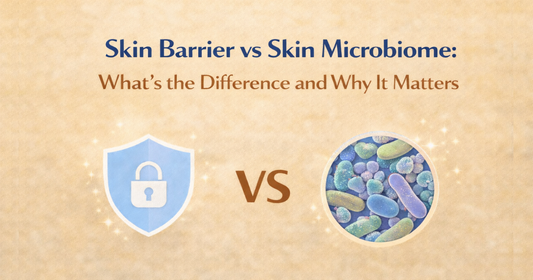 Skin Barrier vs Skin Microbiome: What’s the Difference and Why It Matters