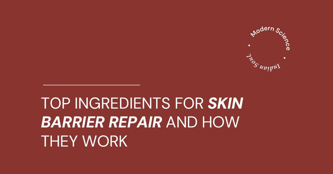 Top Ingredients for Skin Barrier Repair and How They Work