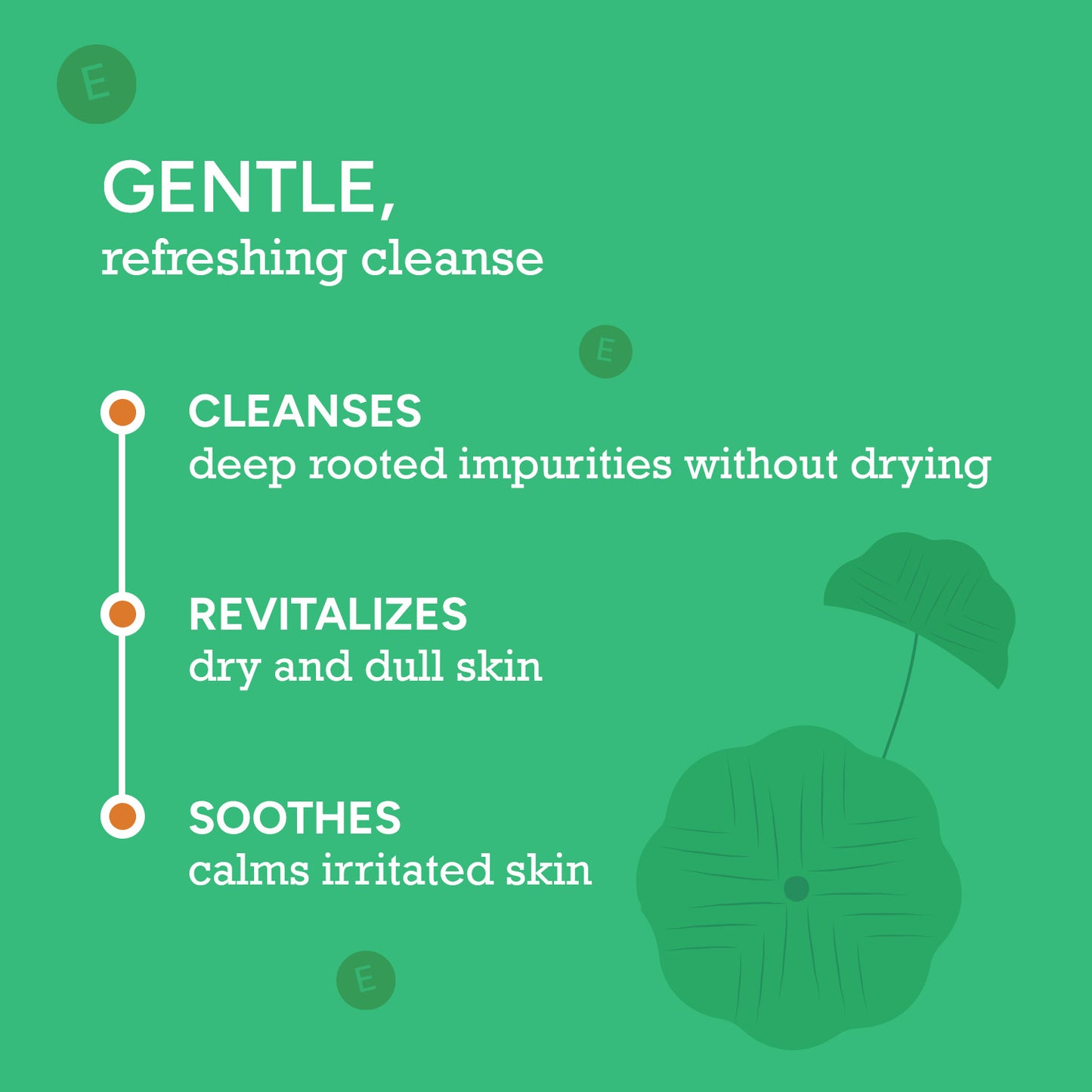 100 ml $$** CITTA Cica Gentle Face Cleanser – Gentle Refreshing Cleanse for Deep-Rooted Impurities, Dry & Dull Skin, and Skin Sensitivity