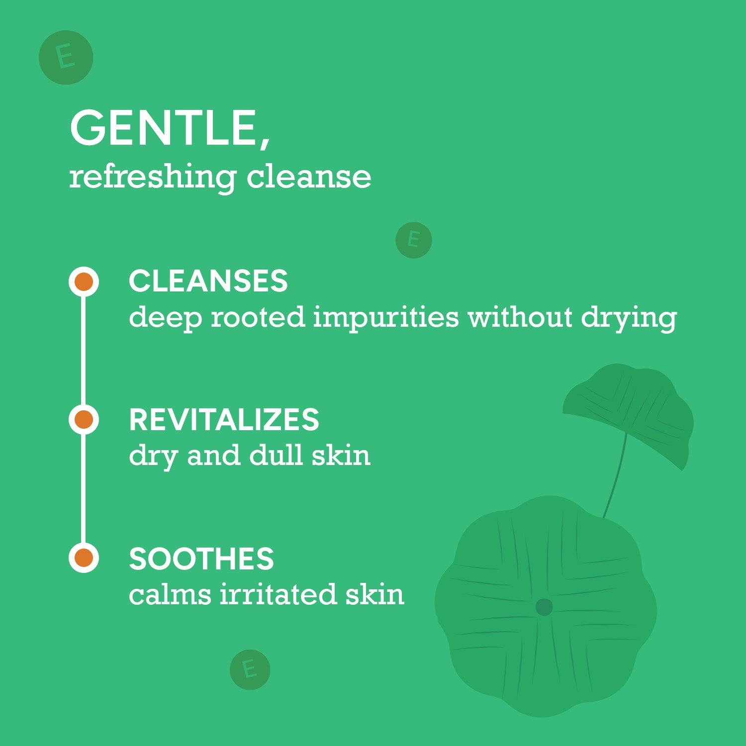  CITTA Cica Gentle Face Cleanser – Gentle Refreshing Cleanse for Deep-Rooted Impurities, Dry & Dull Skin, and Skin Sensitivity