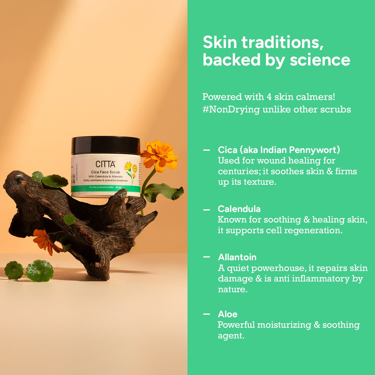  Cica Exfoliating Face Scrub with Calendula, Allantoin and Aloe for Gentle Skin Healing