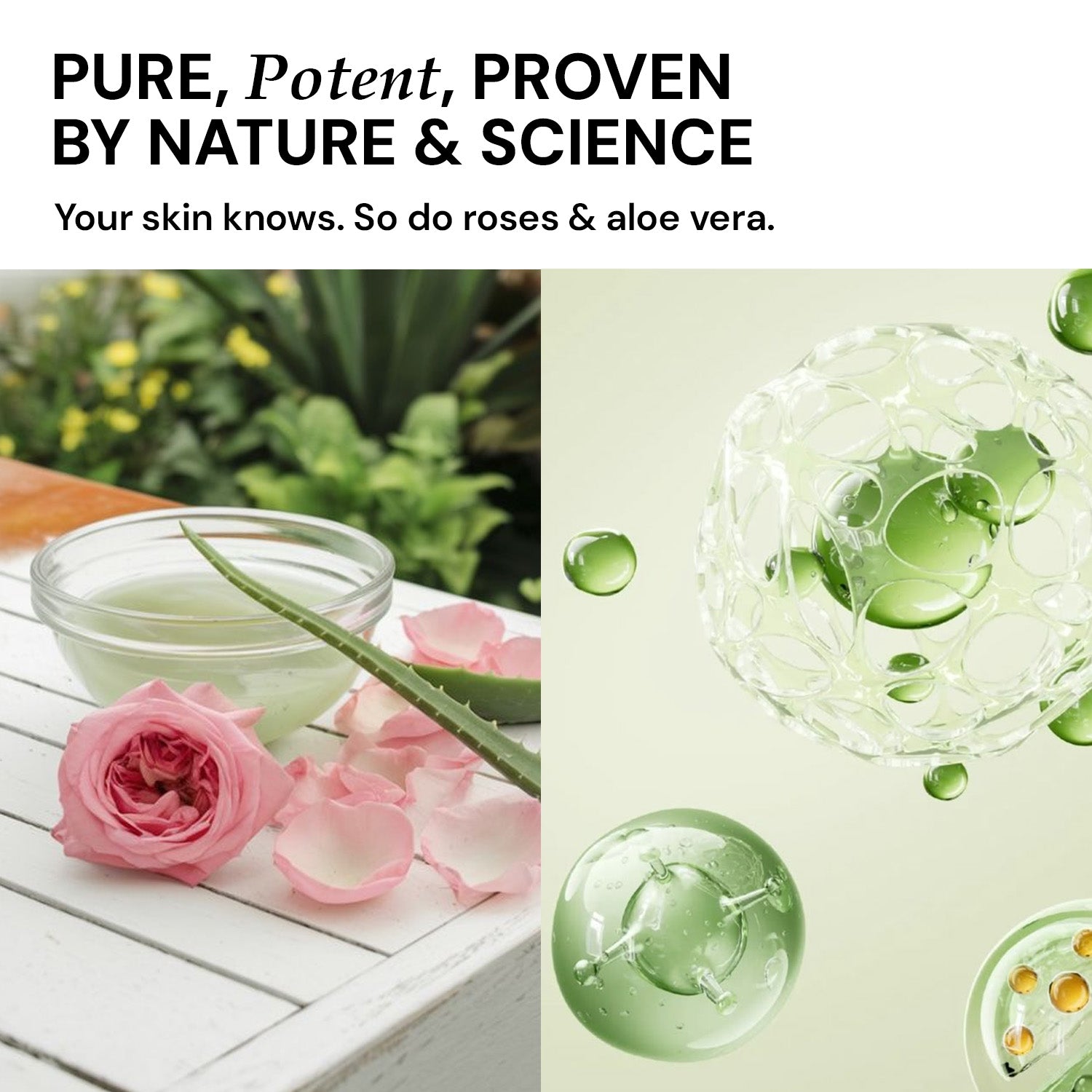 HYDRATING TONER - Hydrating Face Mist with Rose and Aloe Vera