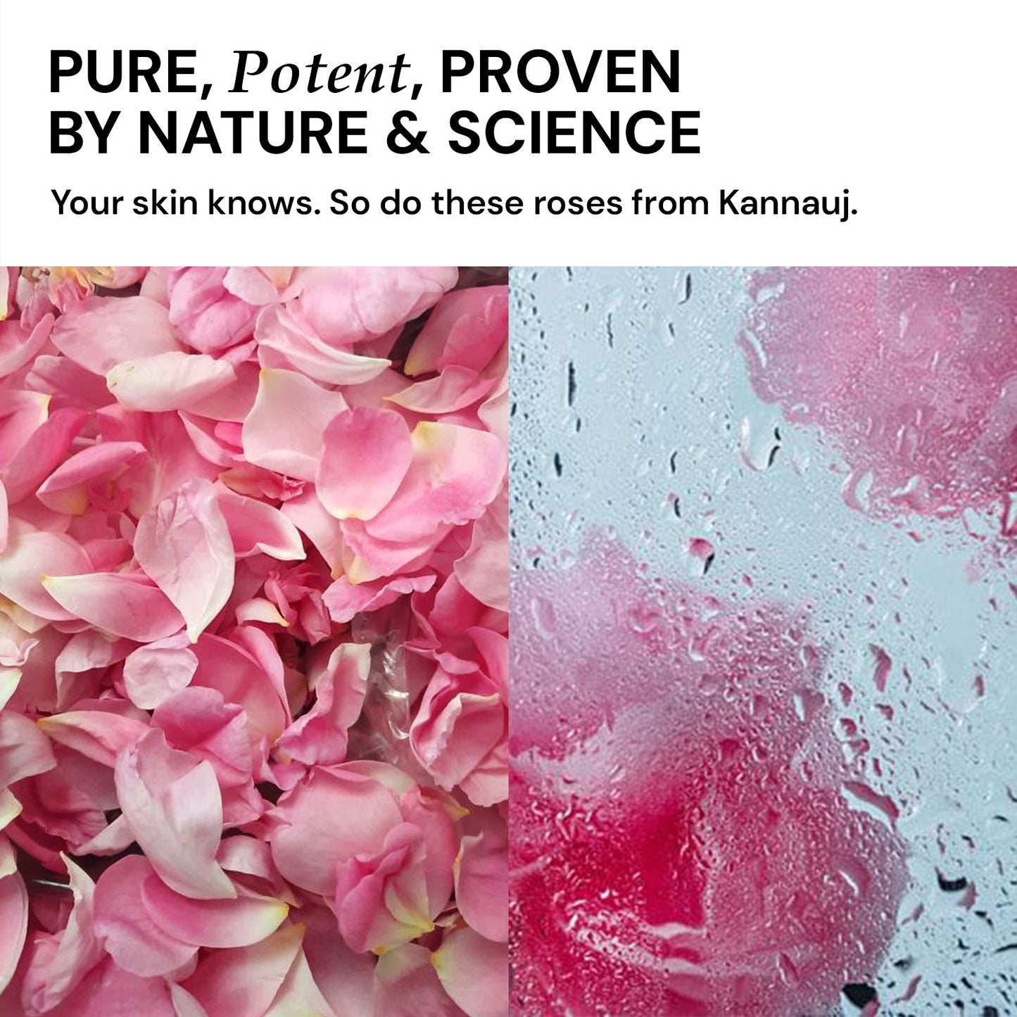 $$** Pure rose mist made with Kannauj roses blending nature and science for clean gentle skin hydration