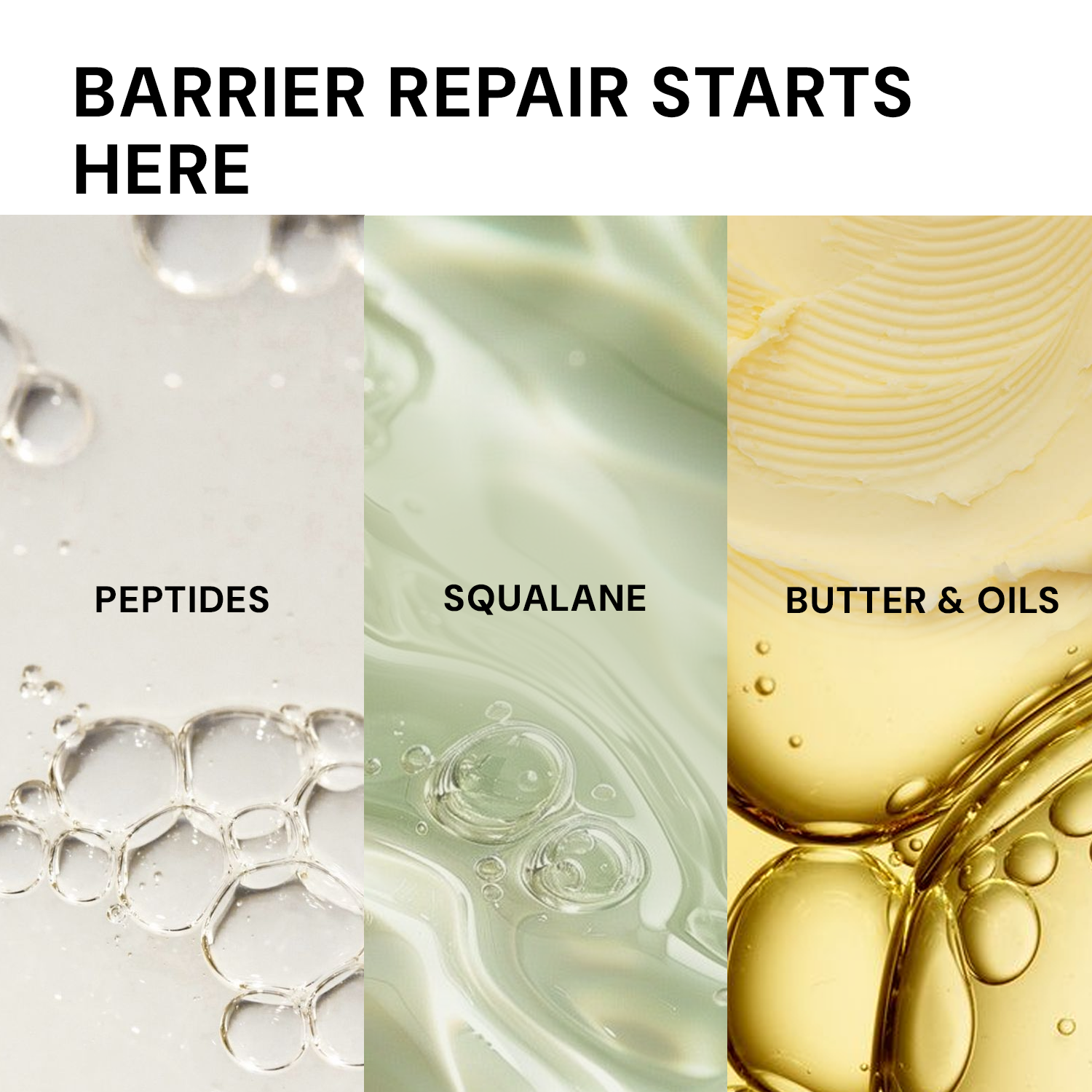 Barrier repair moisturizer ingredients with peptides, squalane, ceramides and nourishing oils