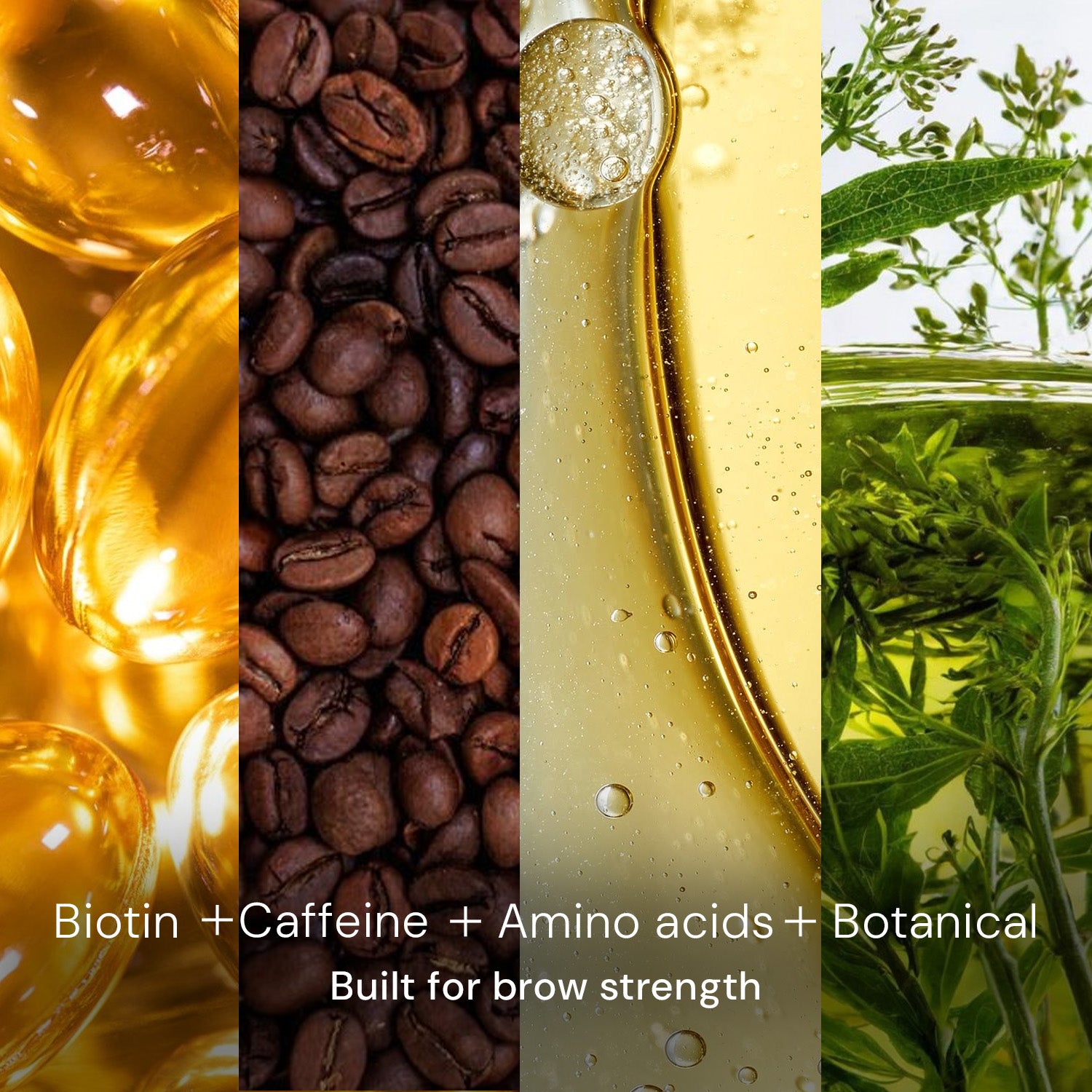 Biotin eyebrow serum with caffeine, amino acids and botanical extracts for brow strength
